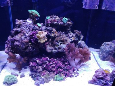 IMG_1062.JPG
