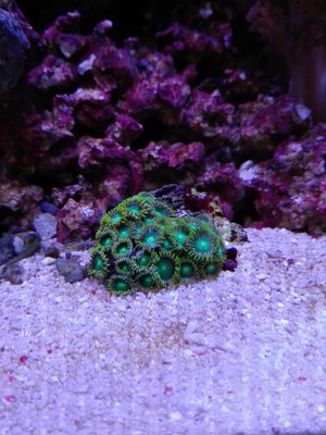 IMG_1074.JPG