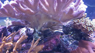 IMG-20170102-WA0001.jpg
