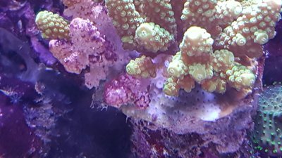 IMG-20170101-WA0007.jpg