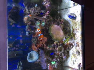 IMG_1703.JPG