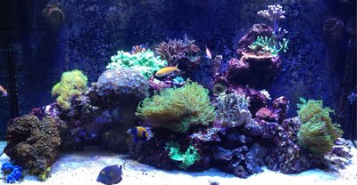 image.jpg (935.27 KiB) 13318 mal betrachtet Stand 12 seotember