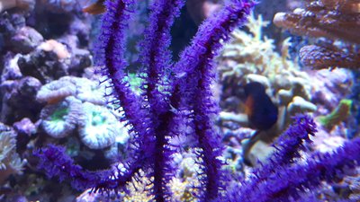 20170104_191057-2304x1296.jpg