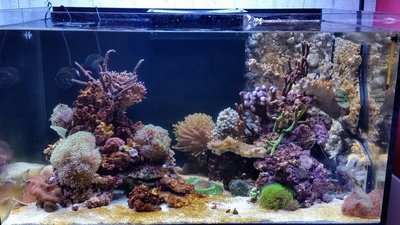 2017-01-07 16.31.50.jpg