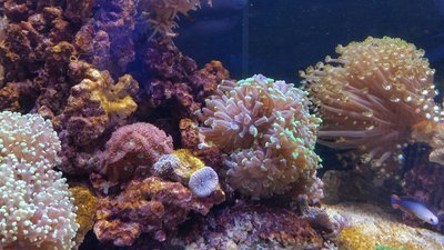 2017-01-07 16.32.29.jpg