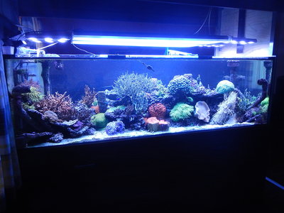 DSCN4057.JPG