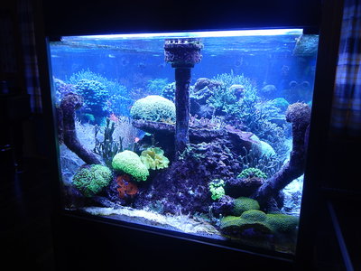 DSCN4058.JPG