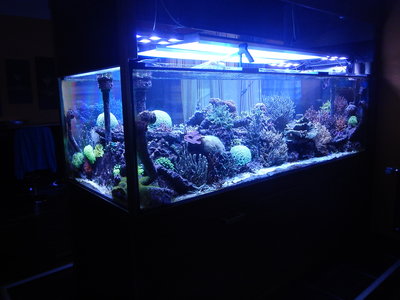 DSCN4059.JPG