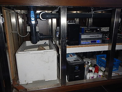DSCN4054.JPG