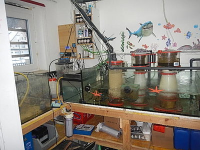 DSCN4055.JPG