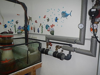 DSCN4056.JPG