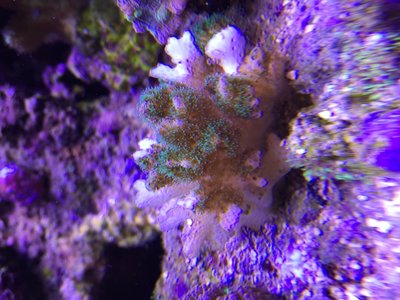 IMG_1764.JPG