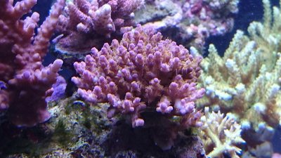 DSC_1664.jpg