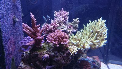 DSC_1669.jpg