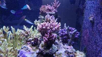 DSC_1670.jpg
