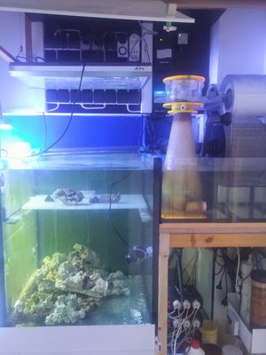 20170117_115339-2.jpg