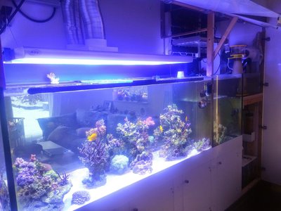20170117_115323-2.jpg