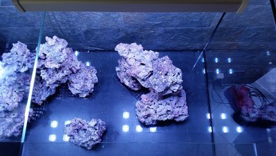 2017-01-21 11.22.16.jpg