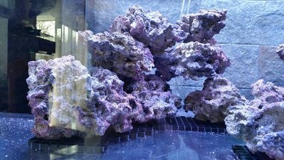 2017-01-21 11.21.38.jpg