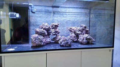 2017-01-21 11.19.20.jpg