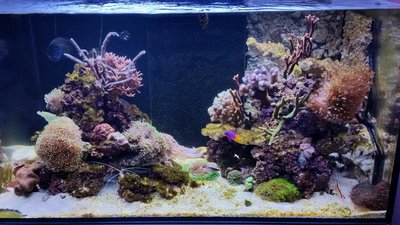 2017-01-24 20.51.44.jpg