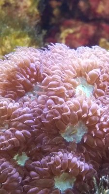 2017-01-28 12.21.59.jpg