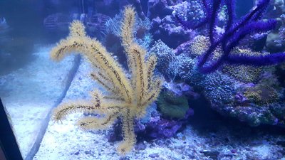 20170203_214034-2304x1296.jpg