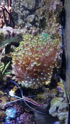 2017-02-03 22.01.58.jpg