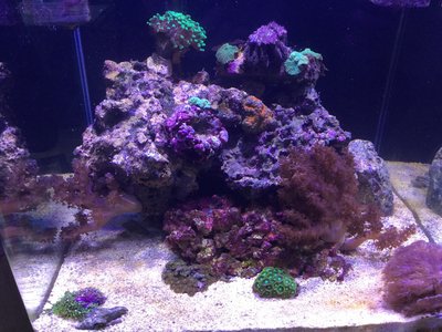 IMG_1114.JPG