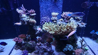 DSC_1724.jpg