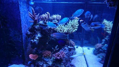 DSC_1725.jpg