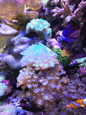 IMG_1518.JPG