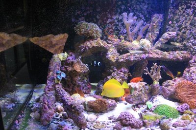IMG_1963.jpg