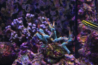 IMG_1970.jpg