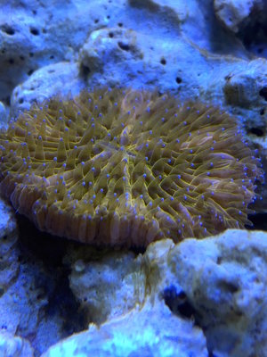 IMG_9034.jpg