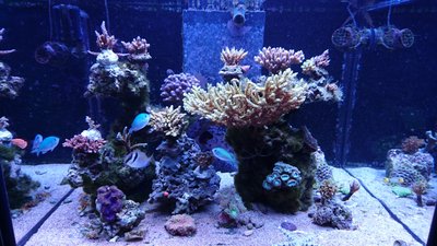 DSC_1181.jpg