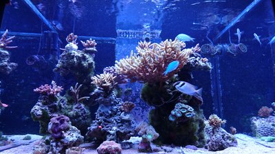 DSC_1184.jpg