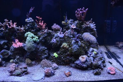 DSC_4751.jpg