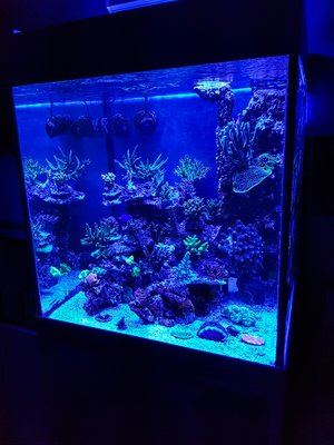 LRM_EXPORT_20170312_224224-2268x3024.jpg