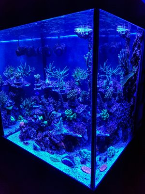 LRM_EXPORT_20170312_224150-2268x3024.jpg