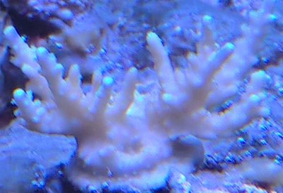 IMG-20170319-WA0001.jpg