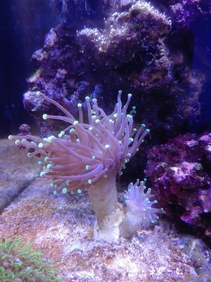 IMG_1200.jpg