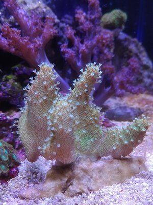 IMG_1201.jpg