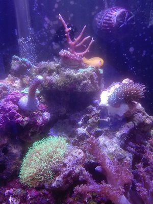 IMG_1202.jpg