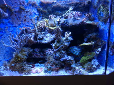 P1000243.JPG