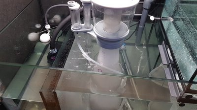 20170405_181444_resized.jpg
