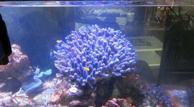 IMG_0166.JPG