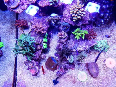 LRM_EXPORT_20170413_205709-1536x1152.jpg