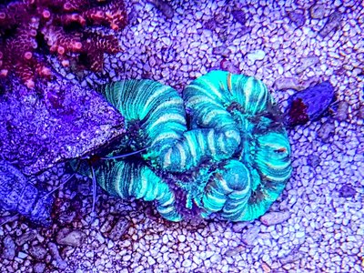 LRM_EXPORT_20170413_210217-1536x1152.jpg