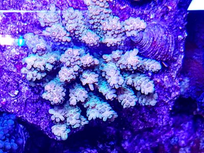 LRM_EXPORT_20170413_210332-1536x1152.jpg